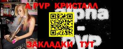 MDMA Гай