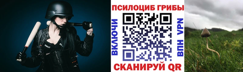 Псилоцибиновые грибы прущие грибы  Сегежа 