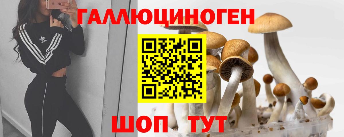 Псилоцибиновые грибы ЛСД  Псилоцибиновые грибы Magic Shrooms  Вход с VPN  Сегежа 